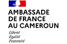 Ambassade de France Français Cameroun